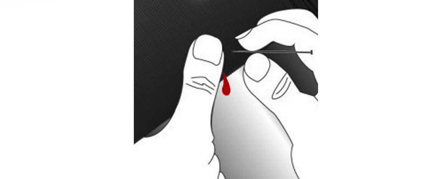 ADN324 Story Noel Dorado